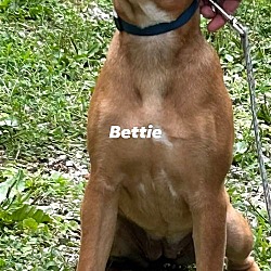 Photo of Bettie