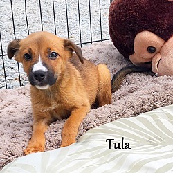 Thumbnail photo of Tula~new pics~ #3