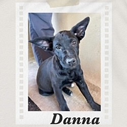 Photo of Danna