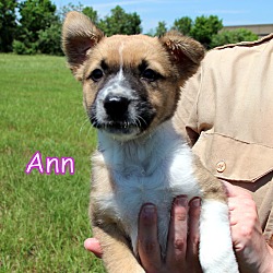 Thumbnail photo of Ann #3