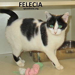 Thumbnail photo of Felecia #1