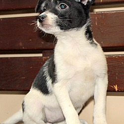 Thumbnail photo of Diane~adopted! #3