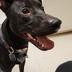 Photo of Charlie