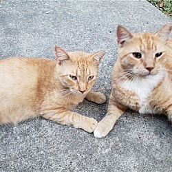 Photo of Ginger and Margaret