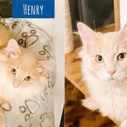 Thumbnail photo of Henry & Theodore #1