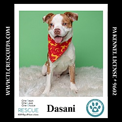 Thumbnail photo of Dasani 090724 #3