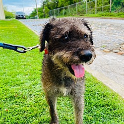 Photo of Walter