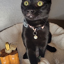 Photo of Sarah - All Star Litter