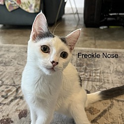 Photo of Freckle Nose