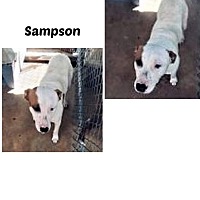 Photo of SAMPSON