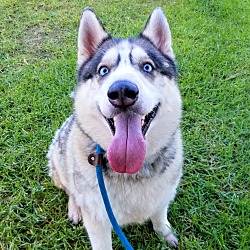 Photo of Steve