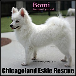 Thumbnail photo of Bomi #2