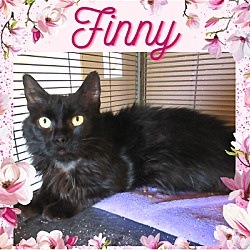 Photo of Finny
