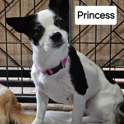 Thumbnail photo of Princess #4