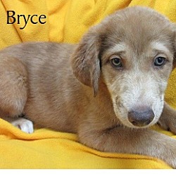 Thumbnail photo of Bryce #2