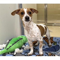 Photo of BOSCO