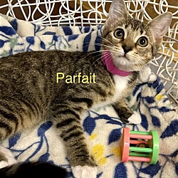 Thumbnail photo of Parfait #3