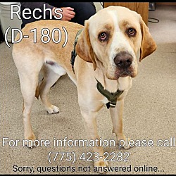 Photo of Rechs (REX)
