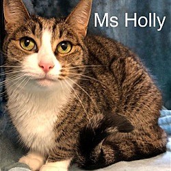 Thumbnail photo of Ms Holly at Martinez Pet Food Express  May 25th #2
