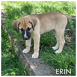 Thumbnail photo of ERIN #2
