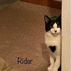 Thumbnail photo of Rider #1