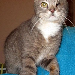 Photo of ADOPTED! Tiger Lily
