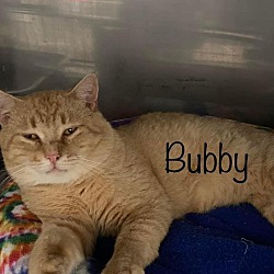 Thumbnail photo of Bubby #2