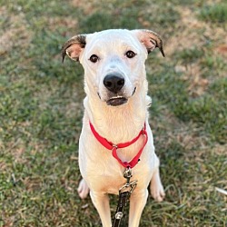 Photo of Wendell