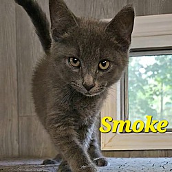 Thumbnail photo of Smoke #1