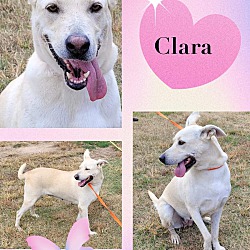 Photo of Clara