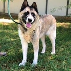 Photo of PEPPER
