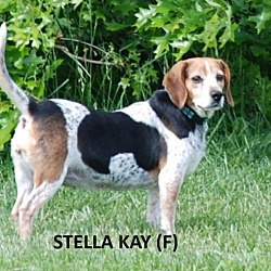 Thumbnail photo of Stella Kay #1