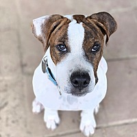 Rosco