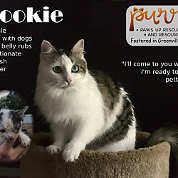 Thumbnail photo of Cookie L. #1