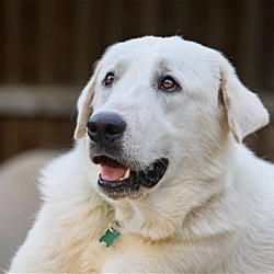 Photo of Kirby