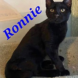 Photo of Ronnie