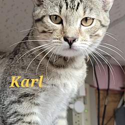 Thumbnail photo of Karl #2