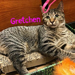 Thumbnail photo of GRETCHEN #2