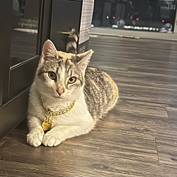 Photo of Cleopatra