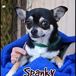 Photo of Spanky