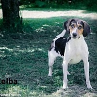 Photo of Zelba