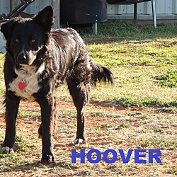 Photo of Hoover