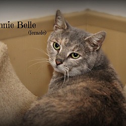 Thumbnail photo of Bonnie Bell #3