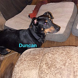 Photo of Duncan/ DD
