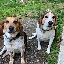 Photo of Charlie & Bruce