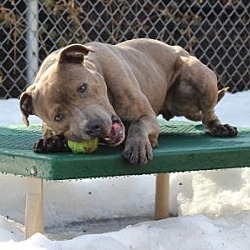 Thumbnail photo of Olivia #2