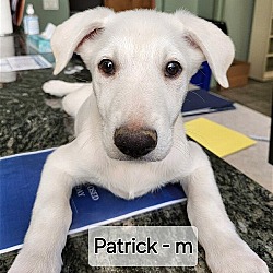 Photo of Patrick