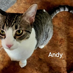 Photo of Andy
