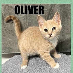Photo of Oliver-Snuggler