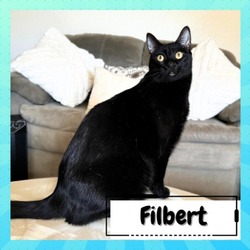 Thumbnail photo of Filbert #2